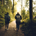 Forest Friends